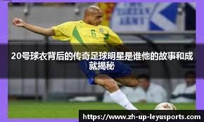 进攻样本